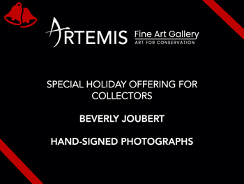 Special opportunity for Beverly Joubert Collectors