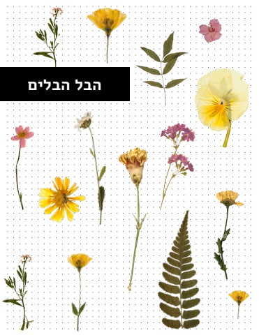 ואניטאס