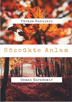 Sözcükte Anlam Özellikleri