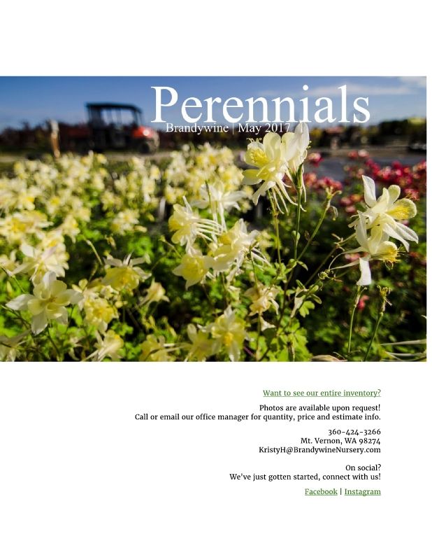 PERENNIALS(11/24/17)**