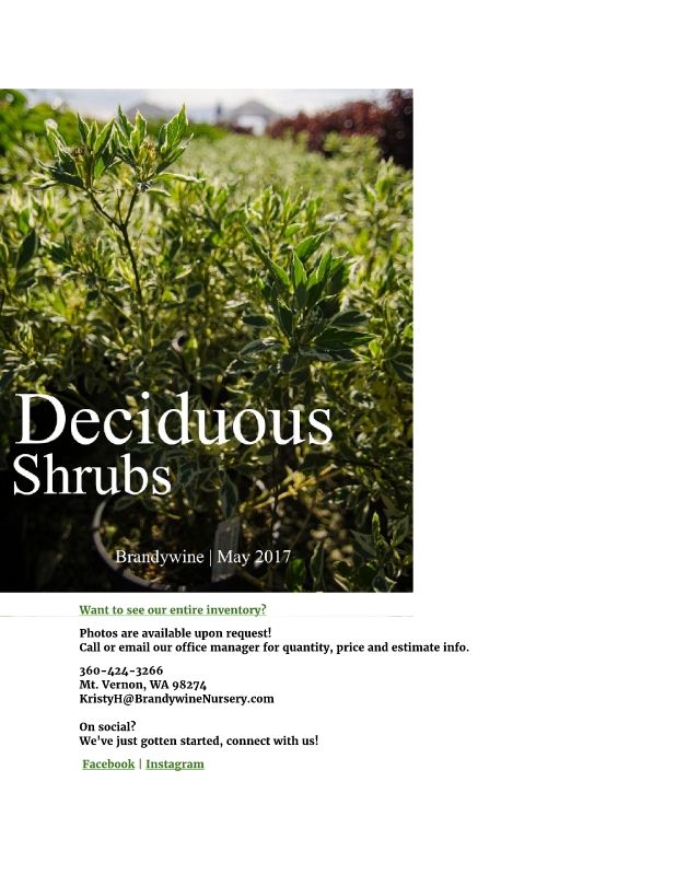 DECIDUOUS SHRUBS(11/24/17)