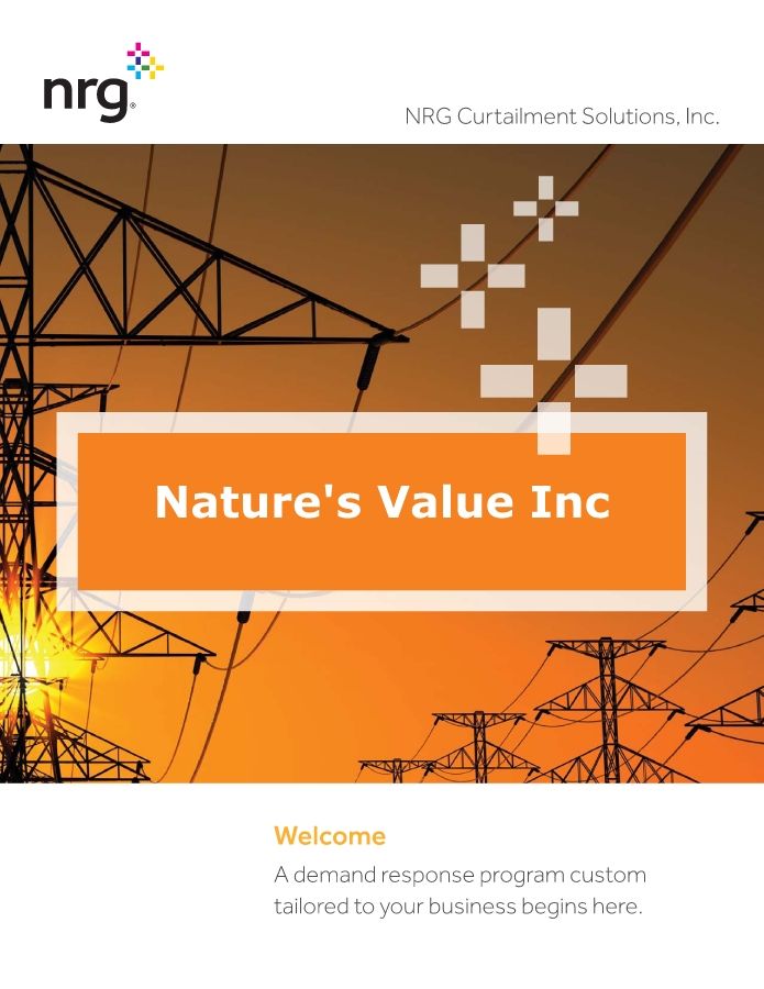 Nature's Value Inc