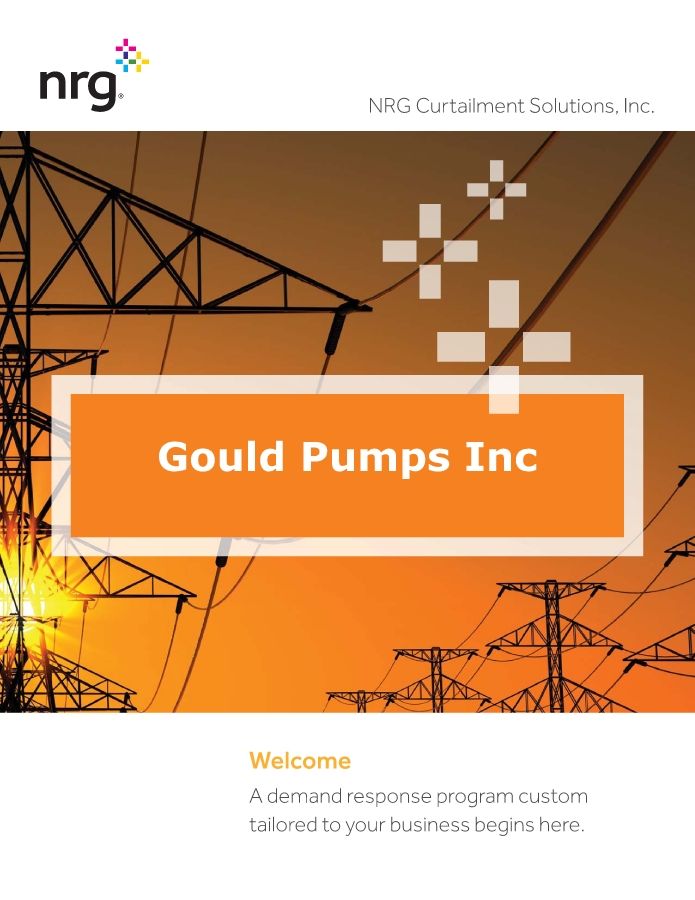 Gould Pumps Inc