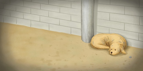 김대현작가