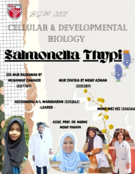 Salmonella Thypi - flipbook