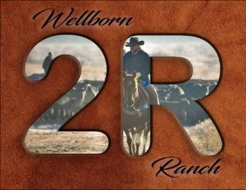 The Wellborn 2R Beef Story eBook