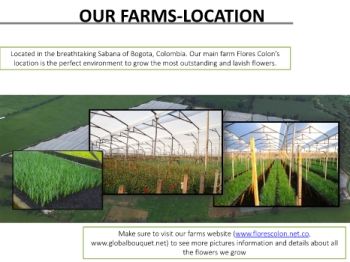 OUR FARMS-LOCATION