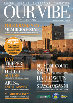 OUR VIBE ISSUE 1 design