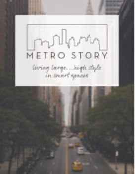 Metro Story generic