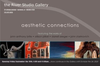 aesthetic connections 12x18 poster