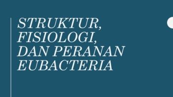Klasifikasi Mikroba dalam Tiga Kingdom