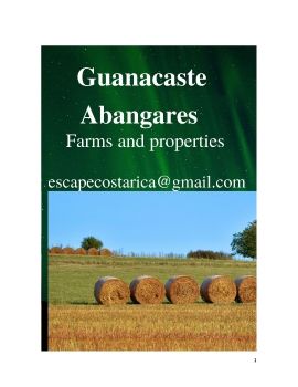 FINCA ABANGARES OCT2019 (1)_Neat