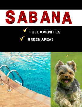 Sabana ,Rohrmouser, San Jose,MARZO 2020