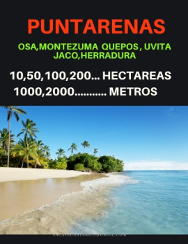 PUNTARENAS PROPIEDADES 