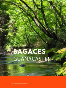 Fincas y propiedades en Guanacaste, Bagaces. 2019