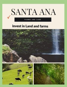 FINCA SANTA ANA 2019