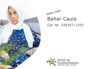 Case ÅLC - Bahar Caula new