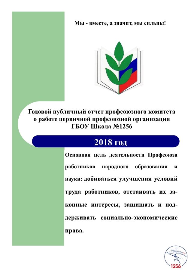 Годовой публичный отчёт ППО за 2018г.