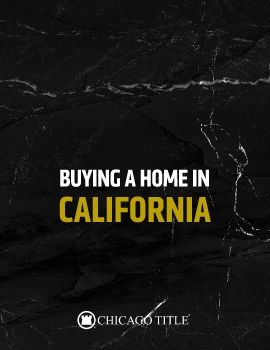 CTT Buyers Guide - Herman