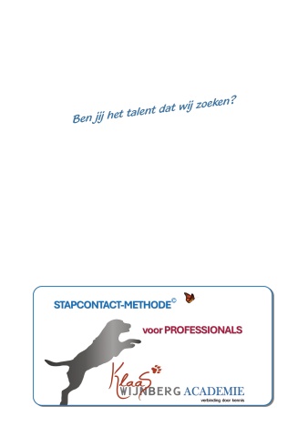 flyer studieplan