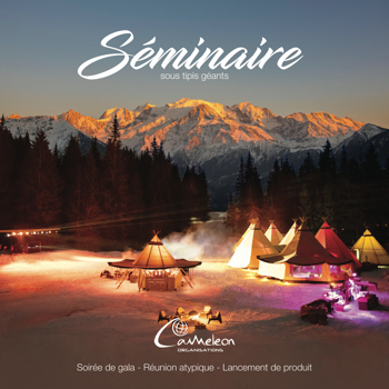 Book seminaire Cameleon Organisations
