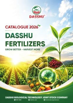 Catalogue Dasshu