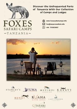 Foxes Safari Camps EBrochure