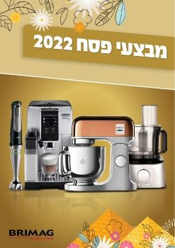 351376-1_INSERT PESACH