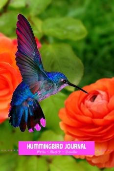 6x9 Hummingbird Journal