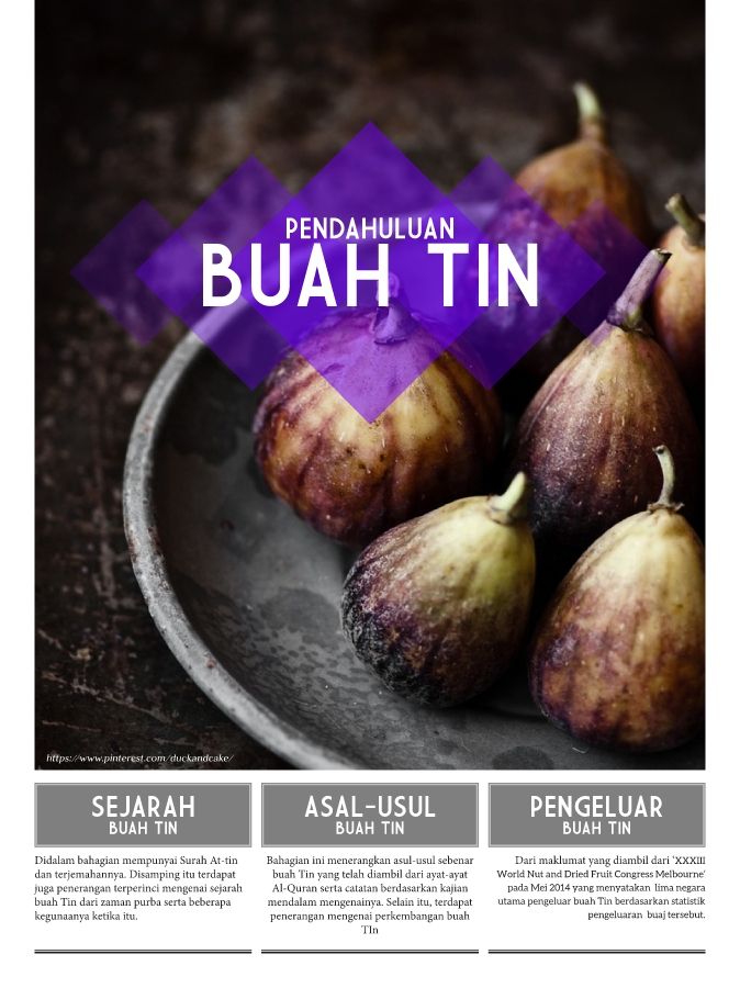 Penanaman Buah Tin Di Malaysia 