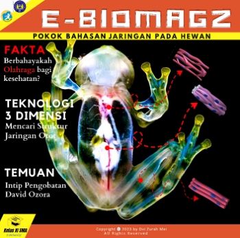 E-BIOMAGZ MATERI JARINGAN HEWAN KELAS XI SMA