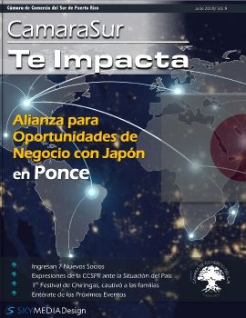 CCSPR IMPACTA DIGITAL Julio Vol. 9  Sky Media 2019