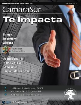 CamaraSur Te Impacta Dic 2018 -CSPR Newsletter - Sky Media Design