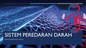 SISTEM PEREDARAN DARAH 4