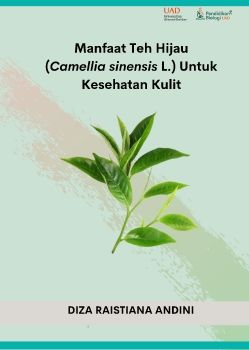 Diza Raistiana Andini_2000008063_B