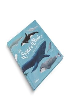 Ebook