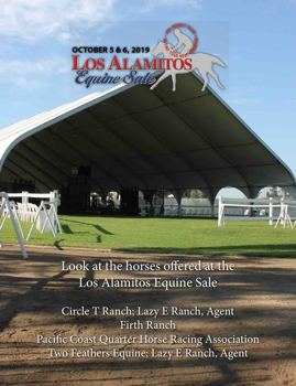 Los Alamitos Equine Sale