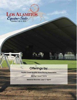 Los Alamitos Equine Sale