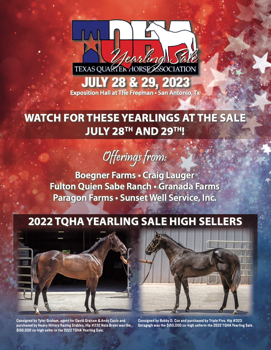 TQHA_YearlingSale_2023