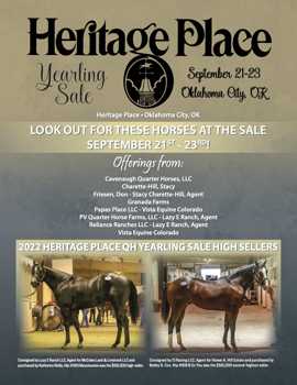 HP Yearling Sale 2023