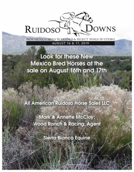 Ruidoso New Mexico Bred Sale Book