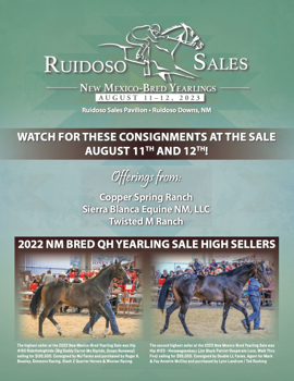 New Mexico-Bred Yearling Sale 2023