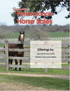 Performance Horse Sales