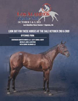 Los Alamitos Equine Sale 2021