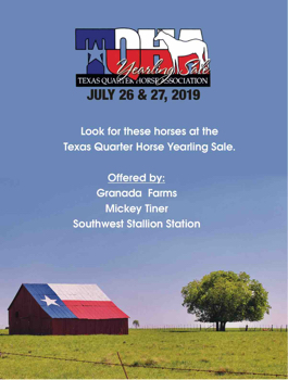 Ruidoso Select Yearling Sale