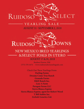 Speedhorse 2018 Ruidoso Select Yearling Sale Highlights