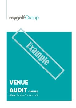 MGG -  Consulting Audit Sample