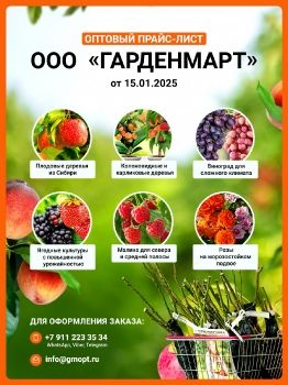 Оптовый прайс