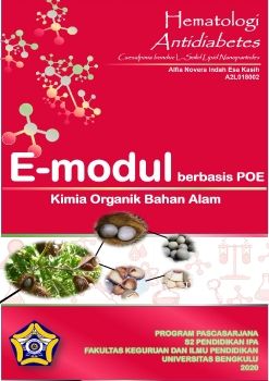 E-Modul POE KOBA