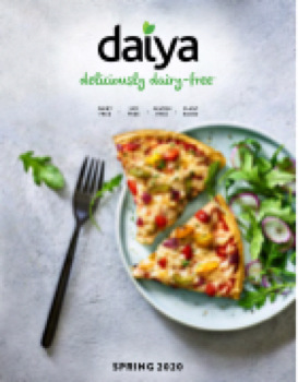 Daiya Catalog 2020